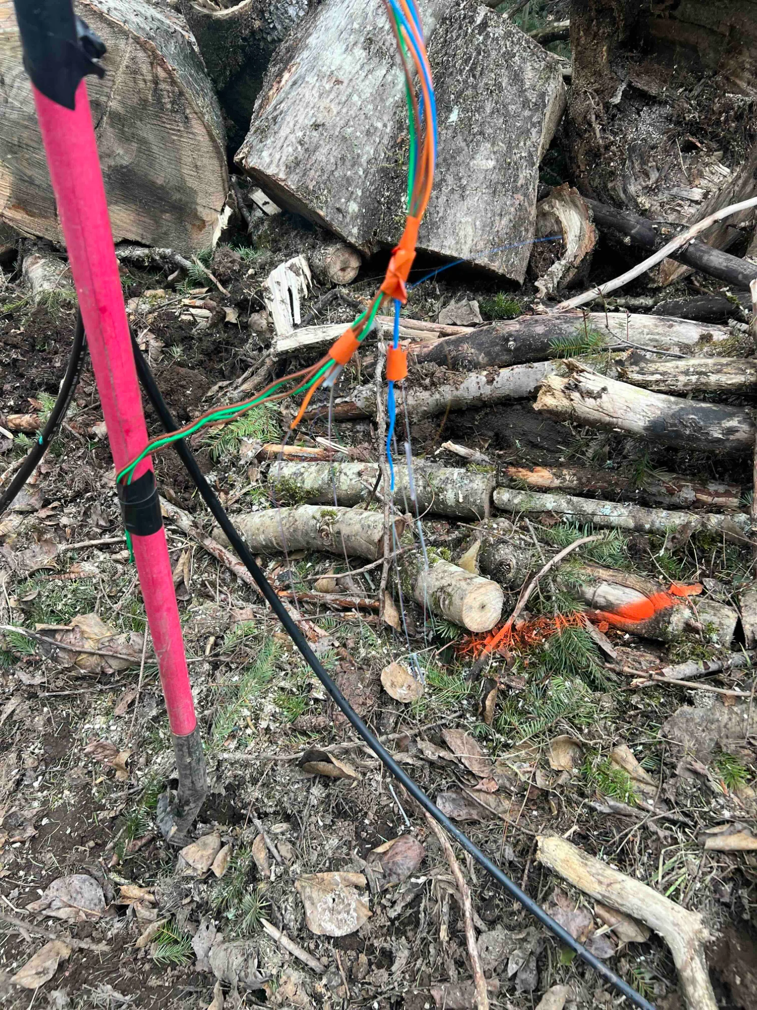 Fiber splices chewed by deer