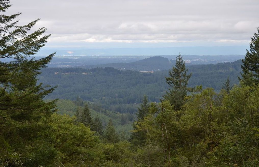 View from the property